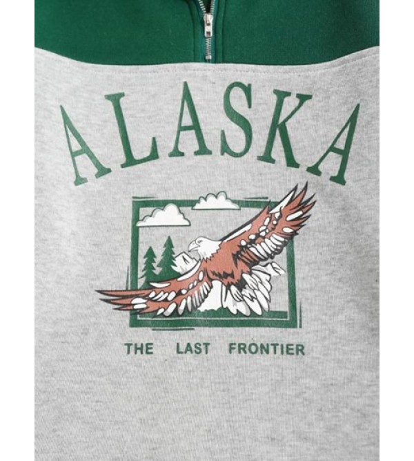 Fleece Lined ALASKA Graphic Quarter Zip Sweatshirt